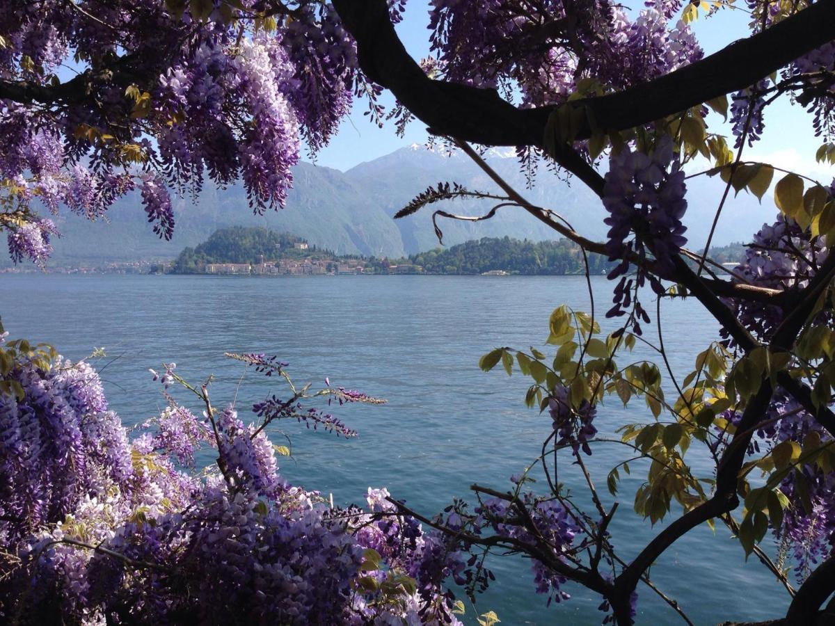 Апартаменты Rosa Dei Venti - Aparment In The Heart Of Bellagio With Parking Номер фото